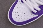 Nike Sb Dunk Low ''Court Purple'' Dv5464-500