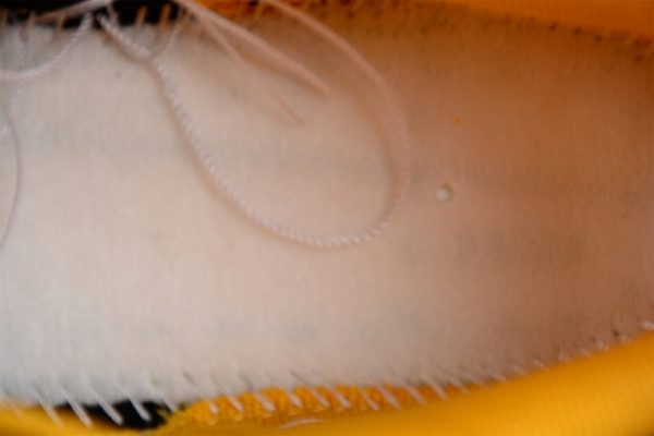 Nike Dunk Low Championship Goldenrod Dd1391-004