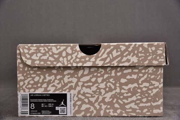 Air Jordan 3 Retro Desert Elephant Ct8532-008