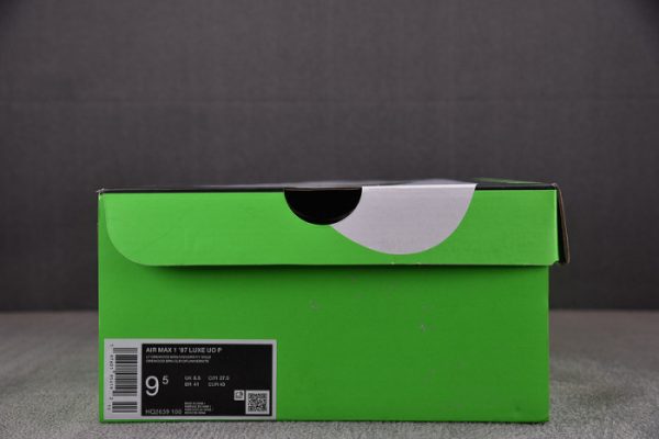 Nike Air Max 1 ''87 Luxe "University Of Oregon Pe 2024" Hq2639-100