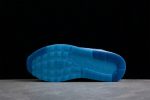 Nike Air Max 1 Premium Blueprint Dr0448-100
