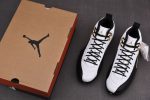 Air Jordan 12 ¡°Royalty¡± Ct8013-170