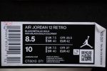 Air Jordan 12 Black Taxi Ct8013-071