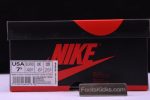 Air Jordan 1 Crimson Tint 555088-081