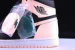 Air Jordan 1 Crimson Tint 555088-081