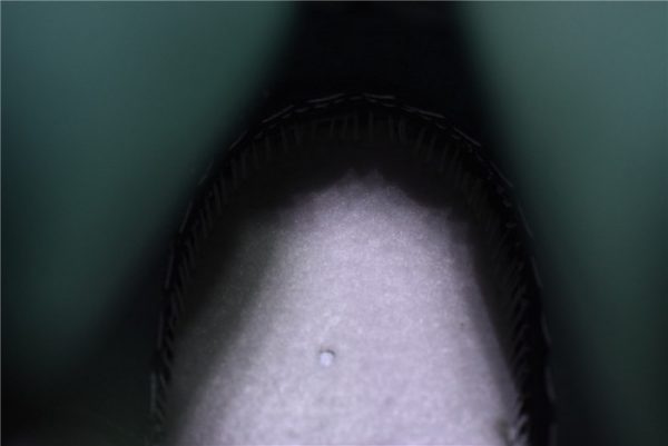 Nike Dunk High Spartan Green Cz8149-100