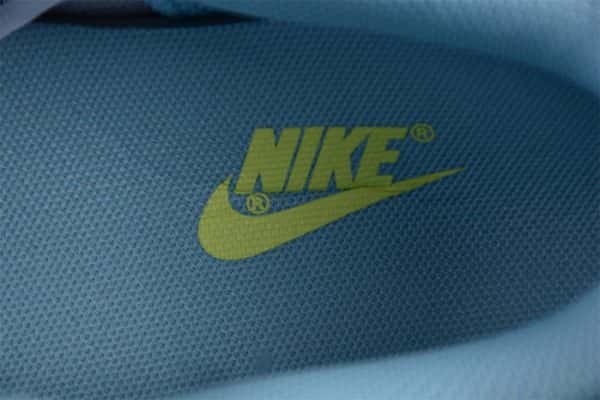 Nike Dunk Low Ocean Bliss Citron Tint Dd1503-123