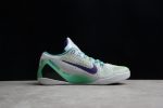 Nike Kobe 9 Grey Green Purple 630487-005