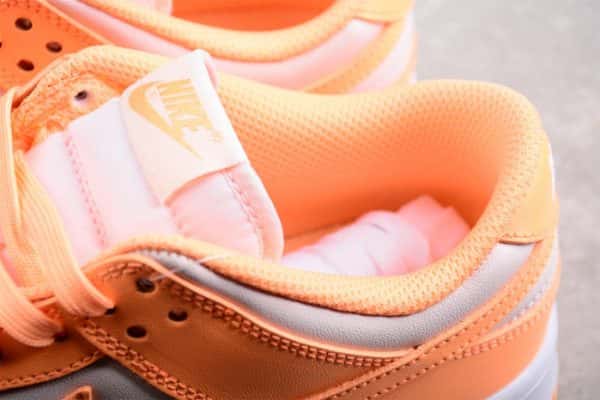 Nike Dunk Low Peach Cream Dd1503-801