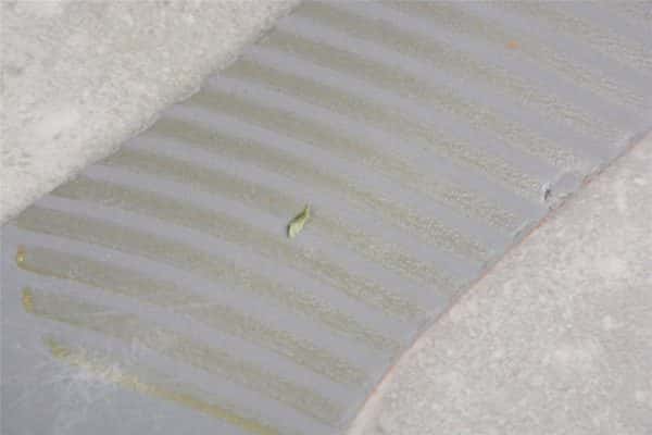 Ofw X Dunk Low ¡°22 Of 50¡± Dm1602-124