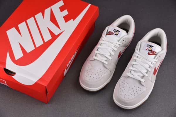 Nike Dunk Low Double Do9457-100