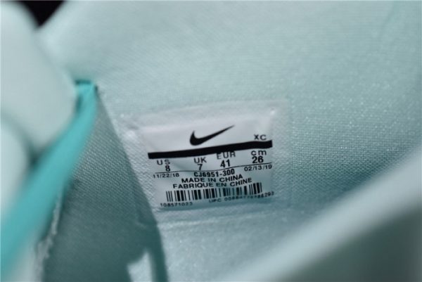 Nike Kyrie 5 Squidward Cj6951-300