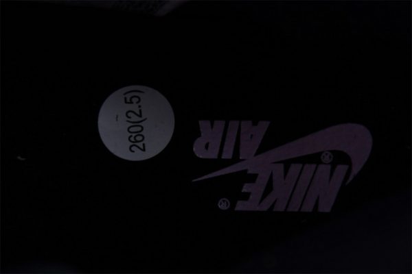 Air Jordan 1 Skyline Dx0054-805