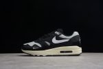 Nike Air Max 1 Patta Waves Black Dq0299-001