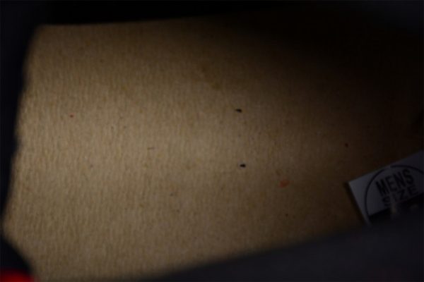 Air Jordan 6 "Toro Bravo" Ct8529-600