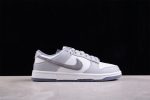 Nike Dunk Low Se Light Carbon Fj4188-100