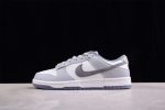 Nike Dunk Low Se Light Carbon Fj4188-100