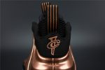 Nike Air Foamposite One ¡°Copper¡± Black/ Metallic Mens 314996-007