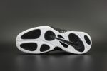Nike Air Foamposite Pro ¡°Dr. Doom¡± Black/White 624041-006