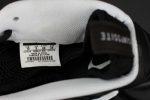 Nike Air Foamposite Pro ¡°Dr. Doom¡± Black/White 624041-006