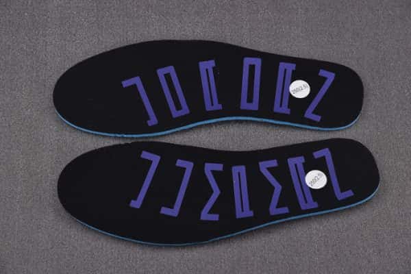 Air Jordan 1 Low Se Concord Dv1309-100