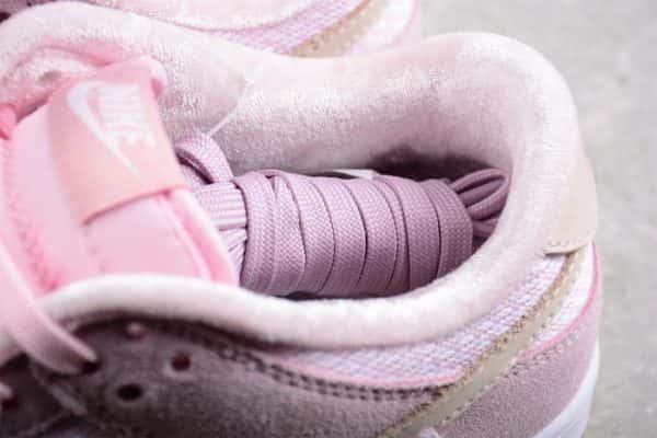 Nike Dunk Low Teddy Bear Dz5318-640