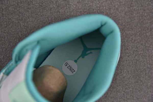 Air Jordan 1 Mid Washed Teal Dv2229-300