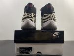 Air Jordan 11 ¡°Animal Instinct¡± Ar0715-010