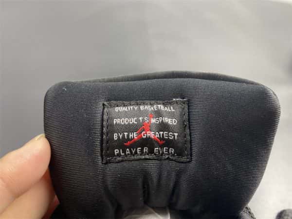 Air Jordan 11 ¡°Animal Instinct¡± Ar0715-010