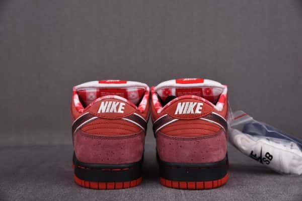 Nike Sb Dunk Low Concepts Red Lobster 313170-661