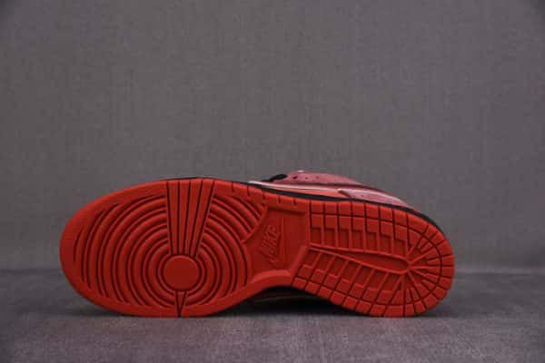 Nike Sb Dunk Low Concepts Red Lobster 313170-661