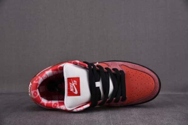 Nike Sb Dunk Low Concepts Red Lobster 313170-661