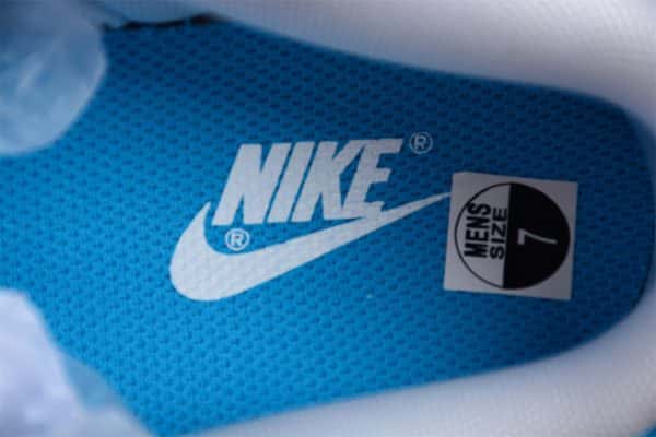 Nike Dunk Low ''Light Bone Blue'' Dv0831-001