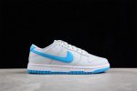 Nike Dunk Low ''Light Bone Blue'' Dv0831-001