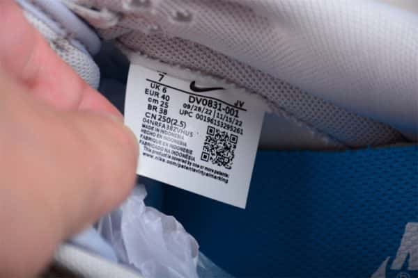 Nike Dunk Low ''Light Bone Blue'' Dv0831-001