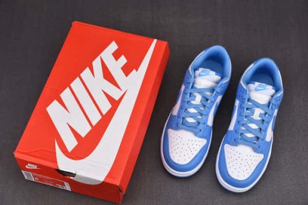 Nike Dunk Low Unc (2021) Dd1391-102