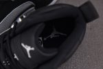Air Jordan 12 Black Wolf Grey CT8013-010