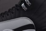 Air Jordan 12 Black Wolf Grey CT8013-010