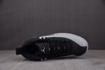 Air Jordan 12 Black Wolf Grey CT8013-010