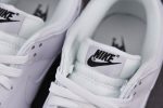 Nike Dunk Low Triple White Dd1503-109