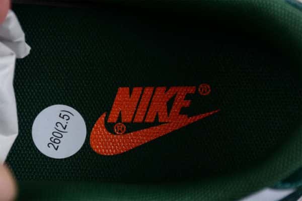 Nike Dunk Low Ch**Me He**Ts Dd1391-111