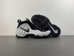 Nike Air Foamposite Pro Wolf Grey HF0794-001