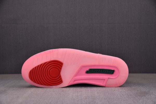 Air Jordan 3 ''Wings'' Hm6993-100