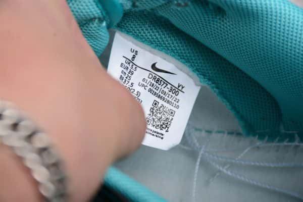 Nike Dunk Low Teal Snakeskin Dr8577-300