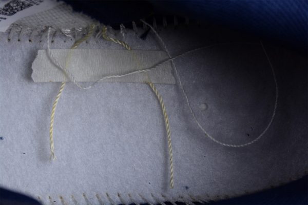 Nike Dunk Low Michigan Dd1391-701