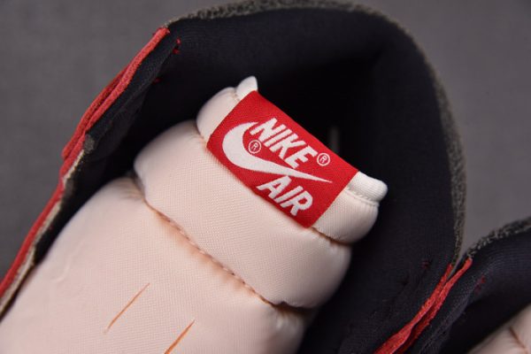 Air Jordan 1 Retro High Og Lost And Found Fd1437-612