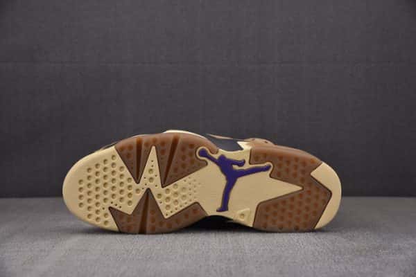 Air Jordan 6 Gore-Tex "Brown Kelp" Fd1643-300