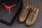 Air Jordan 6 Gore-Tex "Brown Kelp" Fd1643-300