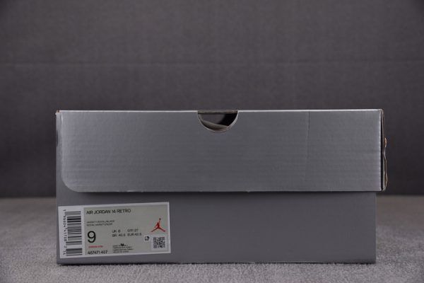 Air Jordan 14 Laney 487471-407