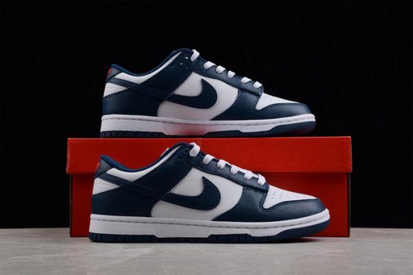 Nike Dunk Low Valerian Blue Dd1391-400